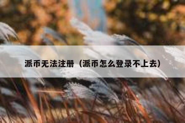 派币无法注册(派币怎么登录不上去) 第1张 派币无法注册(派币怎么登录不上去) 第1张
