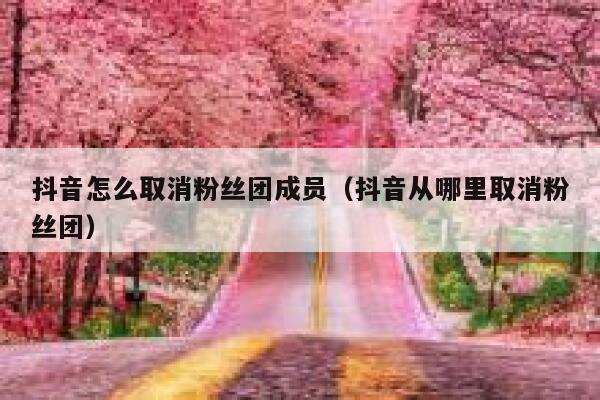 抖音怎么取消粉丝团成员(抖音从哪里取消粉丝团) 第1张 抖音怎么取消粉丝团成员(抖音从哪里取消粉丝团) 第1张