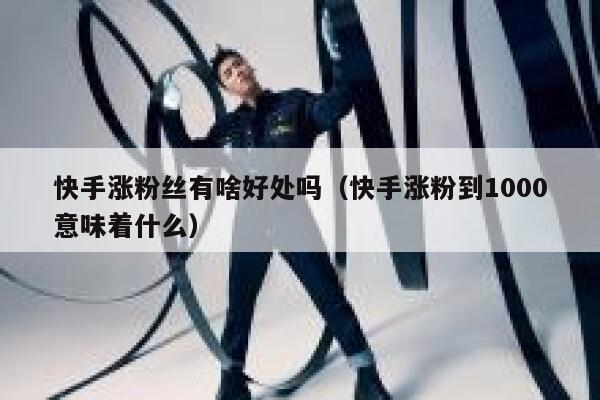 快手涨粉丝有啥好处吗（快手涨粉到1000意味着什么） 第1张