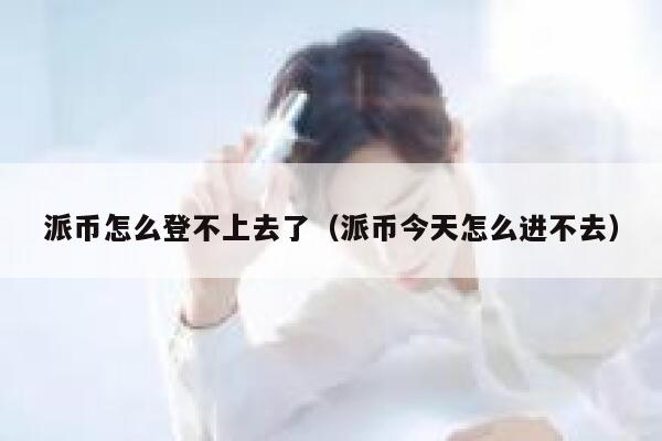 派币怎么登不上去了（派币今天怎么进不去） 第1张