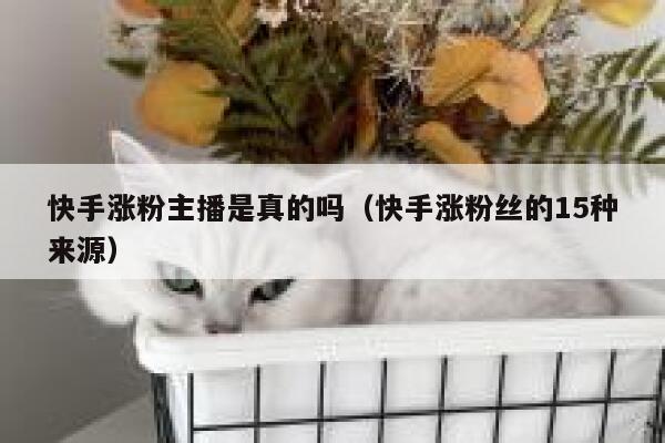 快手涨粉主播是真的吗(快手涨粉丝的15种来源) 第1张 快手涨粉主播是真的吗(快手涨粉丝的15种来源) 第1张