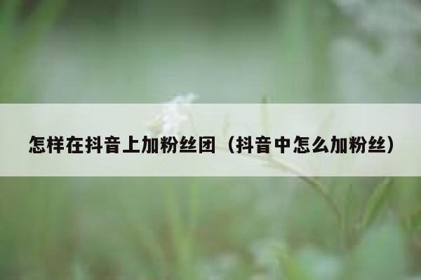 怎样在抖音上加粉丝团（抖音中怎么加粉丝） 第1张