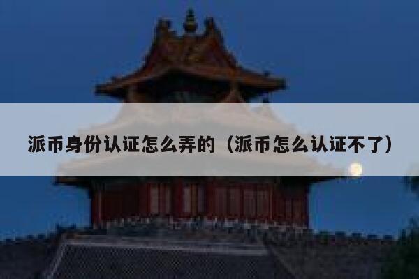 派币身份认证怎么弄的（派币怎么认证不了） 第1张