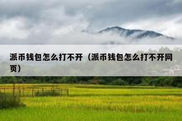 派币钱包怎么打不开(派币钱包怎么打不开网页) 第1张 派币钱包怎么打不开(派币钱包怎么打不开网页) 第1张