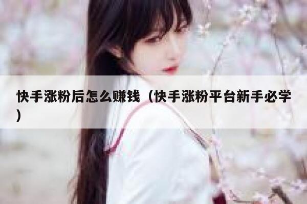 快手涨粉后怎么赚钱（快手涨粉平台新手必学） 第1张