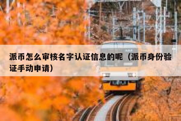 派币怎么审核名字认证信息的呢（派币身份验证手动申请） 第1张