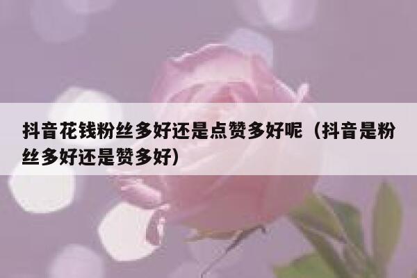 抖音花钱粉丝多好还是点赞多好呢（抖音是粉丝多好还是赞多好） 第1张