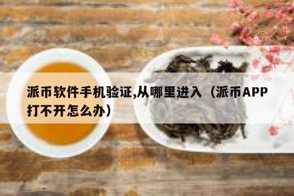 派币软件手机验证,从哪里进入（派币APP打不开怎么办） 第1张