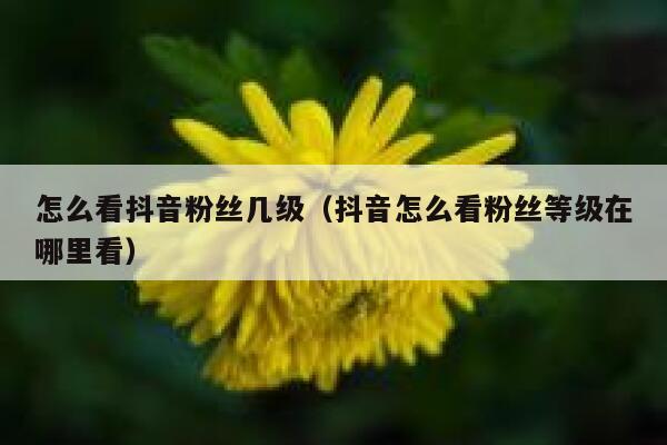 怎么看抖音粉丝几级（抖音怎么看粉丝等级在哪里看） 第1张