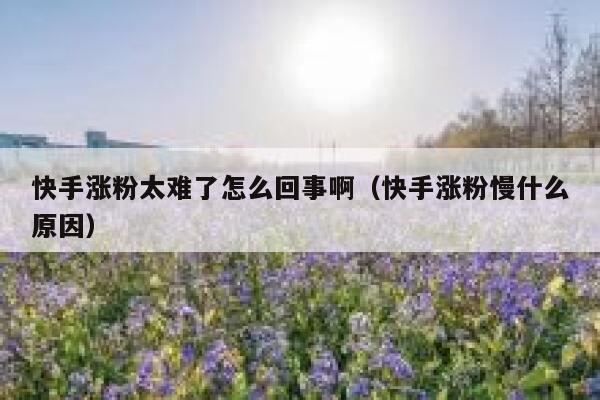 快手涨粉太难了怎么回事啊（快手涨粉慢什么原因） 第1张