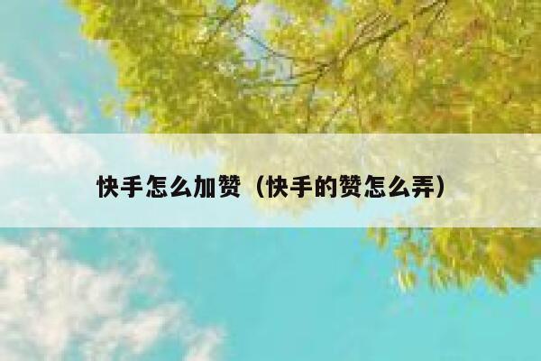 快手怎么加赞（快手的赞怎么弄） 第1张