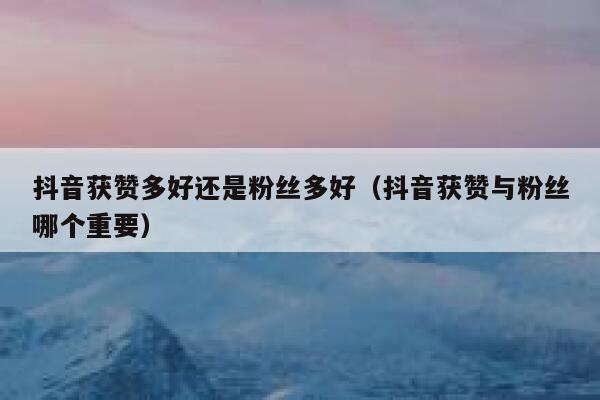 抖音获赞多好还是粉丝多好(抖音获赞与粉丝哪个重要) 第1张 抖音获赞多好还是粉丝多好(抖音获赞与粉丝哪个重要) 第1张