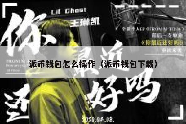 派币钱包怎么操作（派币钱包下载） 第1张