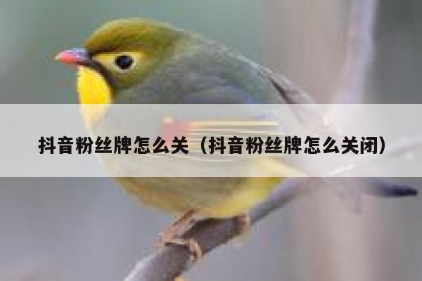 抖音粉丝牌怎么关（抖音粉丝牌怎么关闭） 第1张