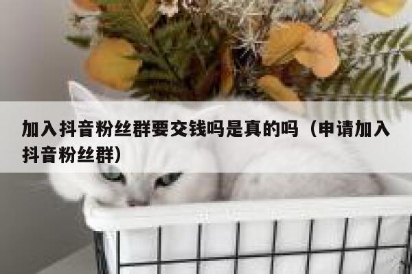 加入抖音粉丝群要交钱吗是真的吗(申请加入抖音粉丝群) 第1张 加入抖音粉丝群要交钱吗是真的吗(申请加入抖音粉丝群) 第1张