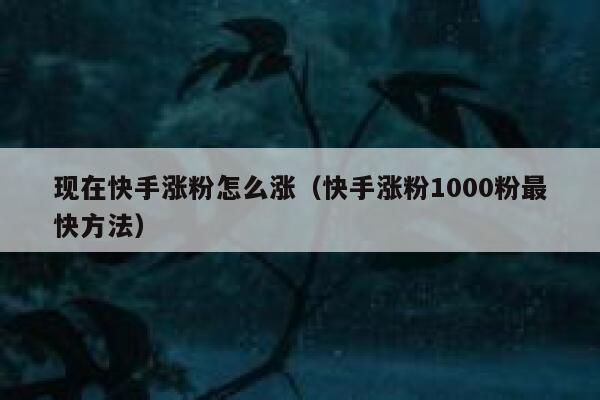现在快手涨粉怎么涨（快手涨粉1000粉最快方法） 第1张