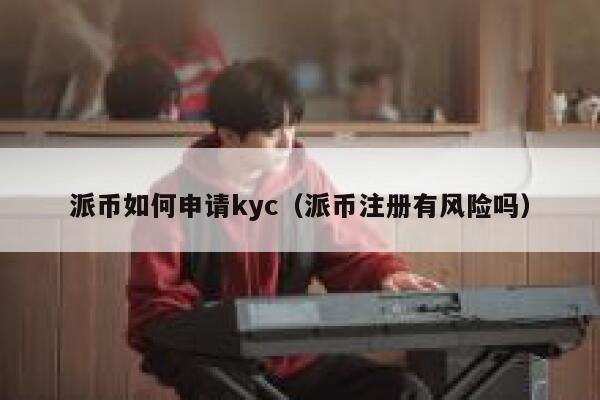 派币如何申请kyc（派币注册有风险吗） 第1张