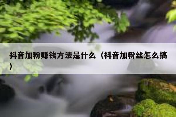 抖音加粉赚钱方法是什么(抖音加粉丝怎么搞) 第1张 抖音加粉赚钱方法是什么(抖音加粉丝怎么搞) 第1张