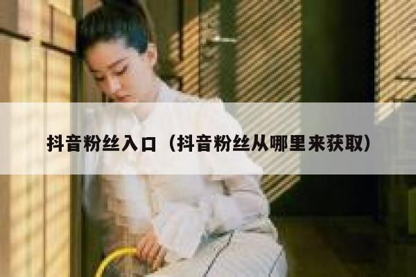 抖音粉丝入口（抖音粉丝从哪里来获取） 第1张