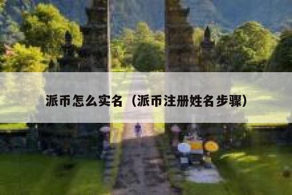 派币怎么实名（派币注册姓名步骤） 第1张
