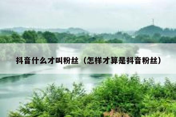 抖音什么才叫粉丝（怎样才算是抖音粉丝） 第1张