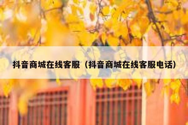 抖音商城在线客服(抖音商城在线客服电话) 第1张 抖音商城在线客服(抖音商城在线客服电话) 第1张