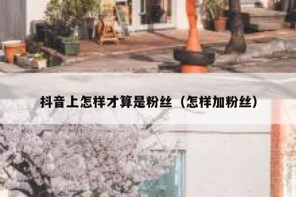 抖音上怎样才算是粉丝（怎样加粉丝） 第1张