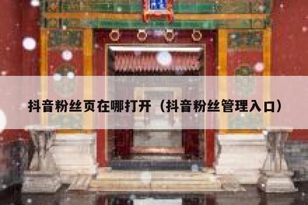 抖音粉丝页在哪打开（抖音粉丝管理入口） 第1张