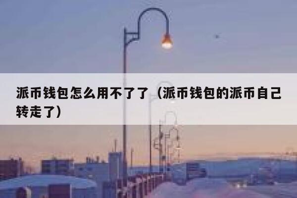 派币钱包怎么用不了了（派币钱包的派币自己转走了） 第1张