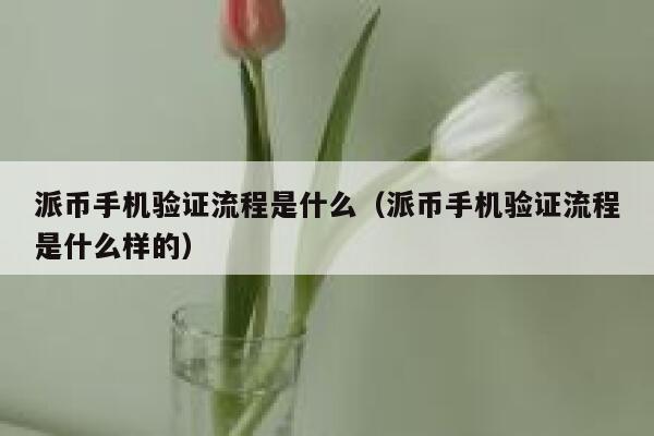 派币手机验证流程是什么（派币手机验证流程是什么样的） 第1张