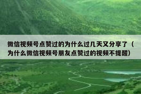 微信视频号点赞过的为什么过几天又分享了（为什么微信视频号朋友点赞过的视频不提醒） 第1张