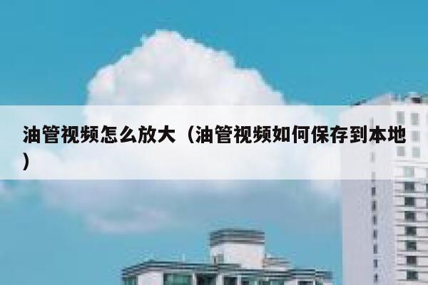 油管视频怎么放大（油管视频如何保存到本地） 第1张