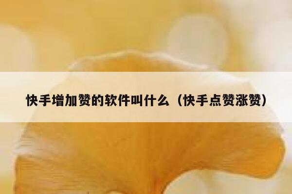 快手增加赞的软件叫什么（快手点赞涨赞） 第1张
