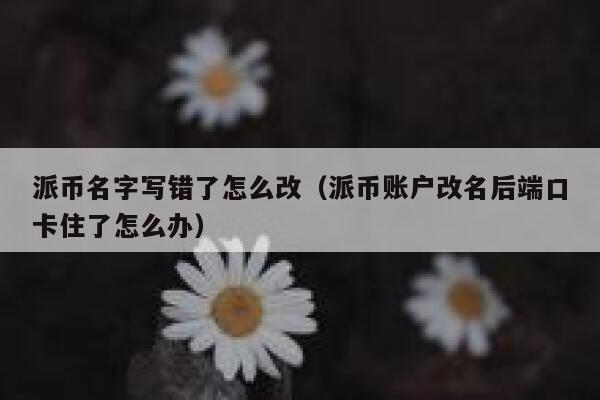 派币名字写错了怎么改（派币账户改名后端口卡住了怎么办） 第1张