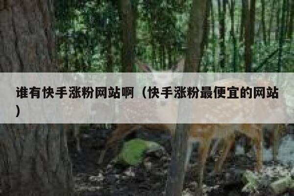 谁有快手涨粉网站啊（快手涨粉最便宜的网站） 第1张