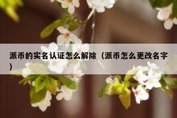 派币的实名认证怎么解除（派币怎么更改名字） 第1张
