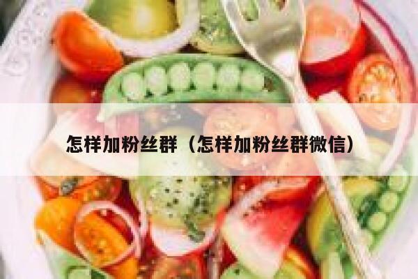 怎样加粉丝群（怎样加粉丝群微信） 第1张