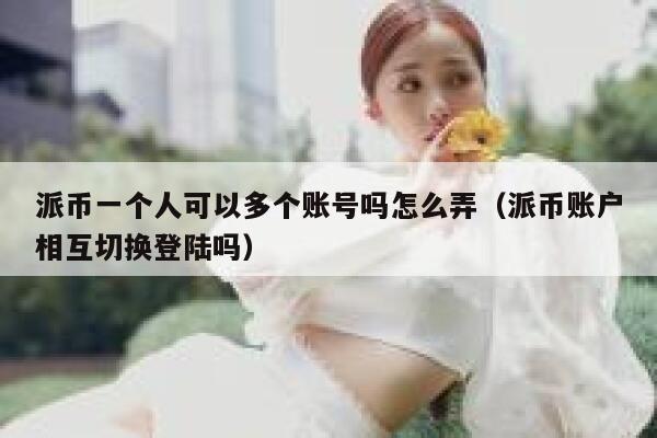 派币一个人可以多个账号吗怎么弄（派币账户相互切换登陆吗） 第1张