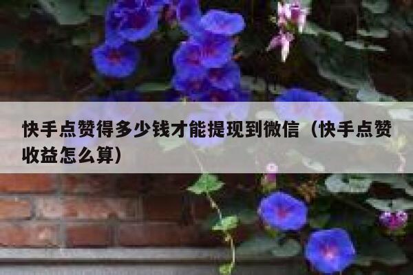 快手点赞得多少钱才能提现到微信（快手点赞收益怎么算） 第1张