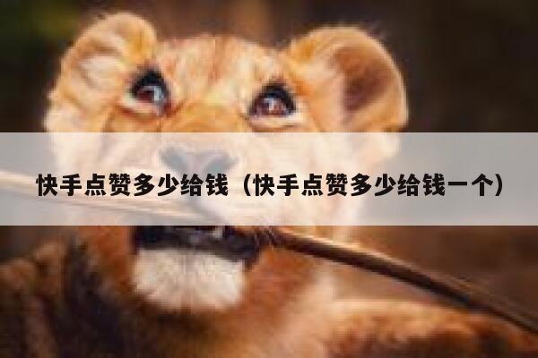 快手点赞多少给钱（快手点赞多少给钱一个） 第1张