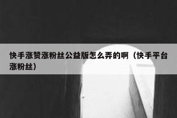 快手涨赞涨粉丝公益版怎么弄的啊（快手平台涨粉丝） 第1张