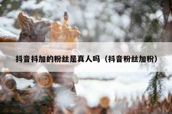 抖音抖加的粉丝是真人吗（抖音粉丝加粉） 第1张