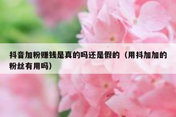 抖音加粉赚钱是真的吗还是假的（用抖加加的粉丝有用吗） 第1张