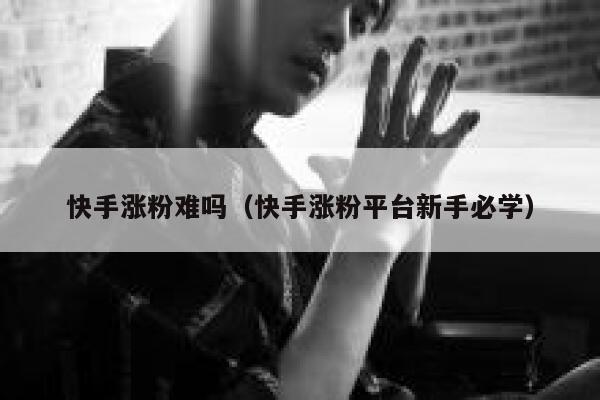 快手涨粉难吗（快手涨粉平台新手必学） 第1张