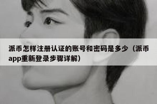 派币怎样注册认证的账号和密码是多少（派币app重新登录步骤详解） 第1张