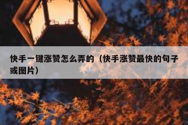 快手一键涨赞怎么弄的（快手涨赞最快的句子或图片） 第1张