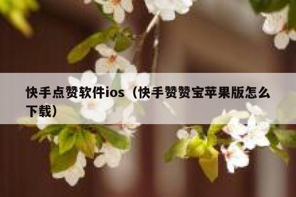 快手点赞软件ios（快手赞赞宝苹果版怎么下载） 第1张
