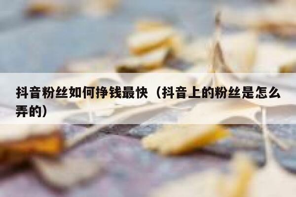 抖音粉丝如何挣钱最快（抖音上的粉丝是怎么弄的） 第1张