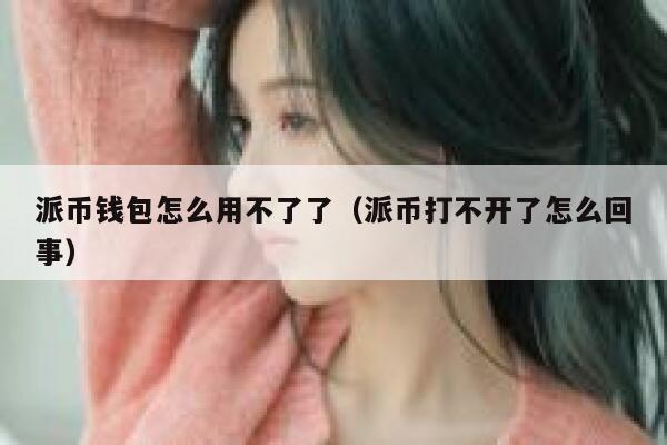 派币钱包怎么用不了了（派币打不开了怎么回事） 第1张