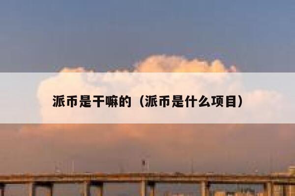 派币是干嘛的（派币是什么项目） 第1张